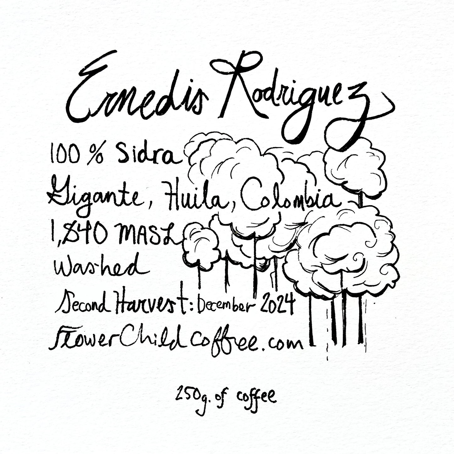 Ernedis Rodriguez - Sidra