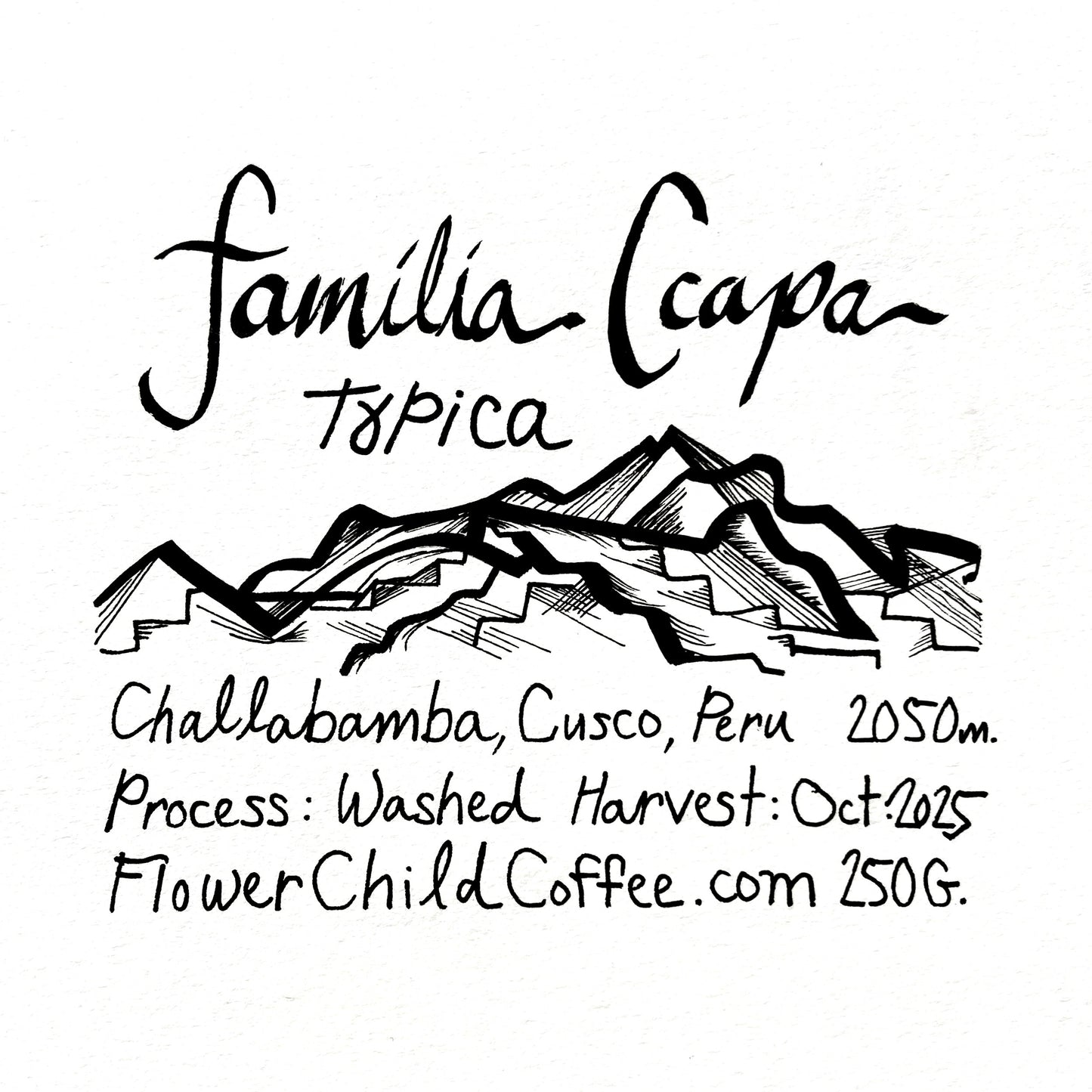 Familia Ccapa - Typica