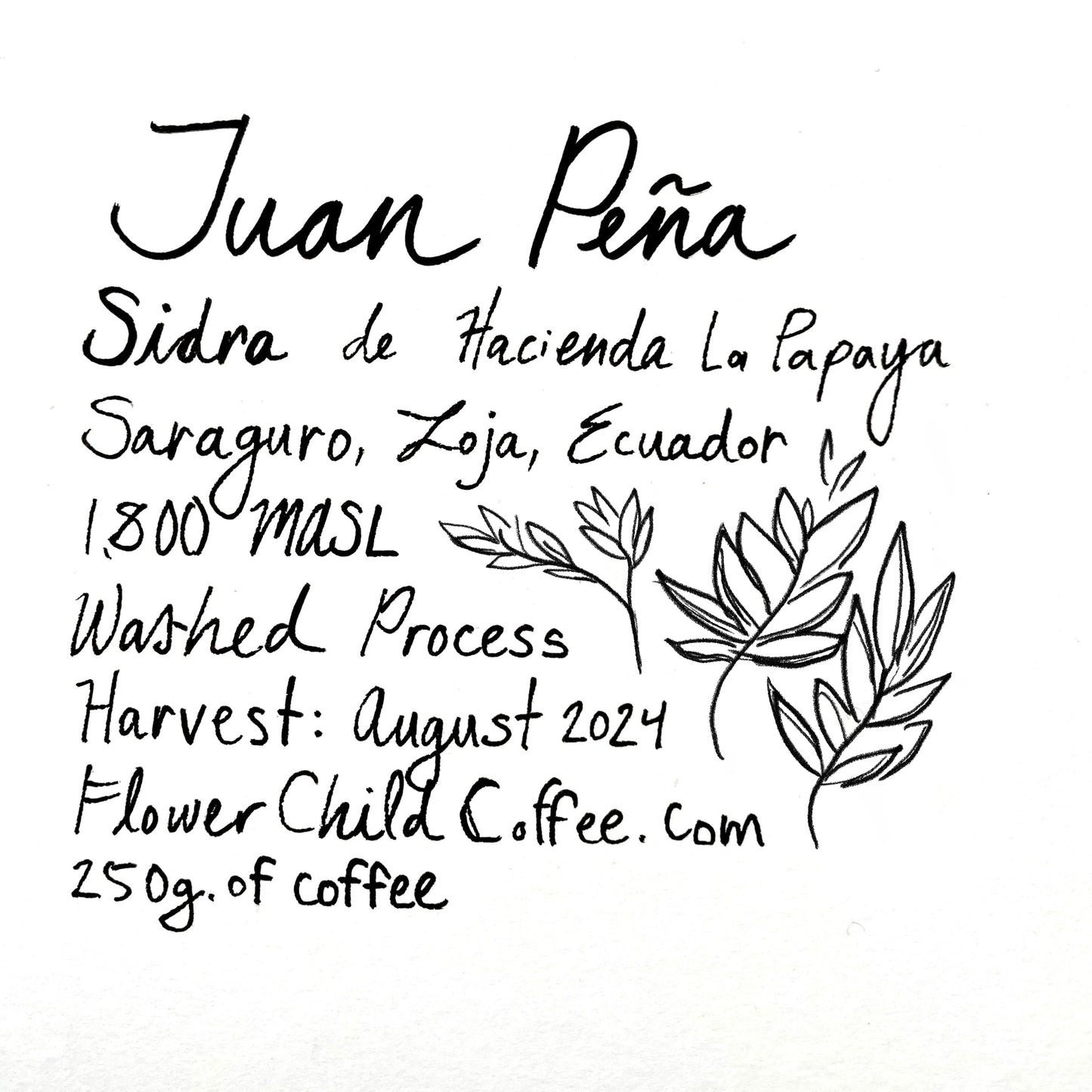 Juan Peña - Sidra