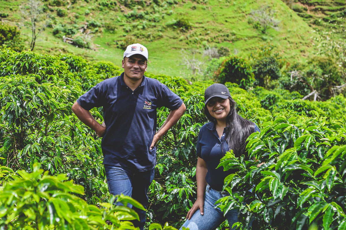 Santiago Caro - Chiroso