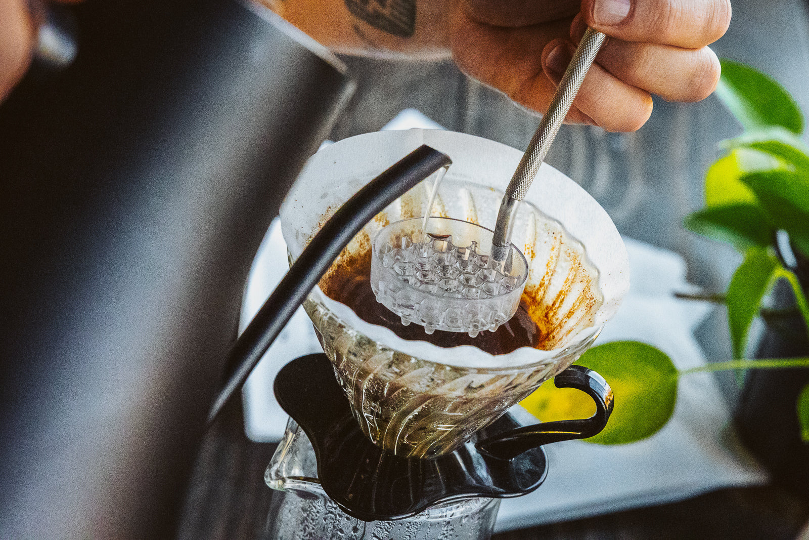 Brewing Tips, Guides & Extrapolation – FLOWER CHILD COFFEE