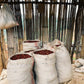 Bags of red coffee cherries in a rustic setting with wooden walls.