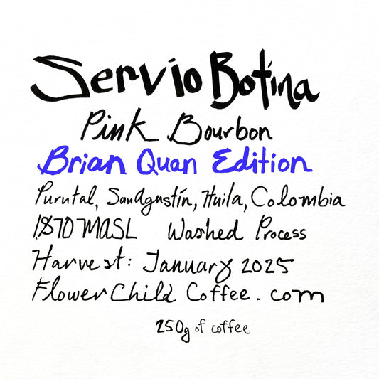 Servio Botina - Brian Quan Collaboration