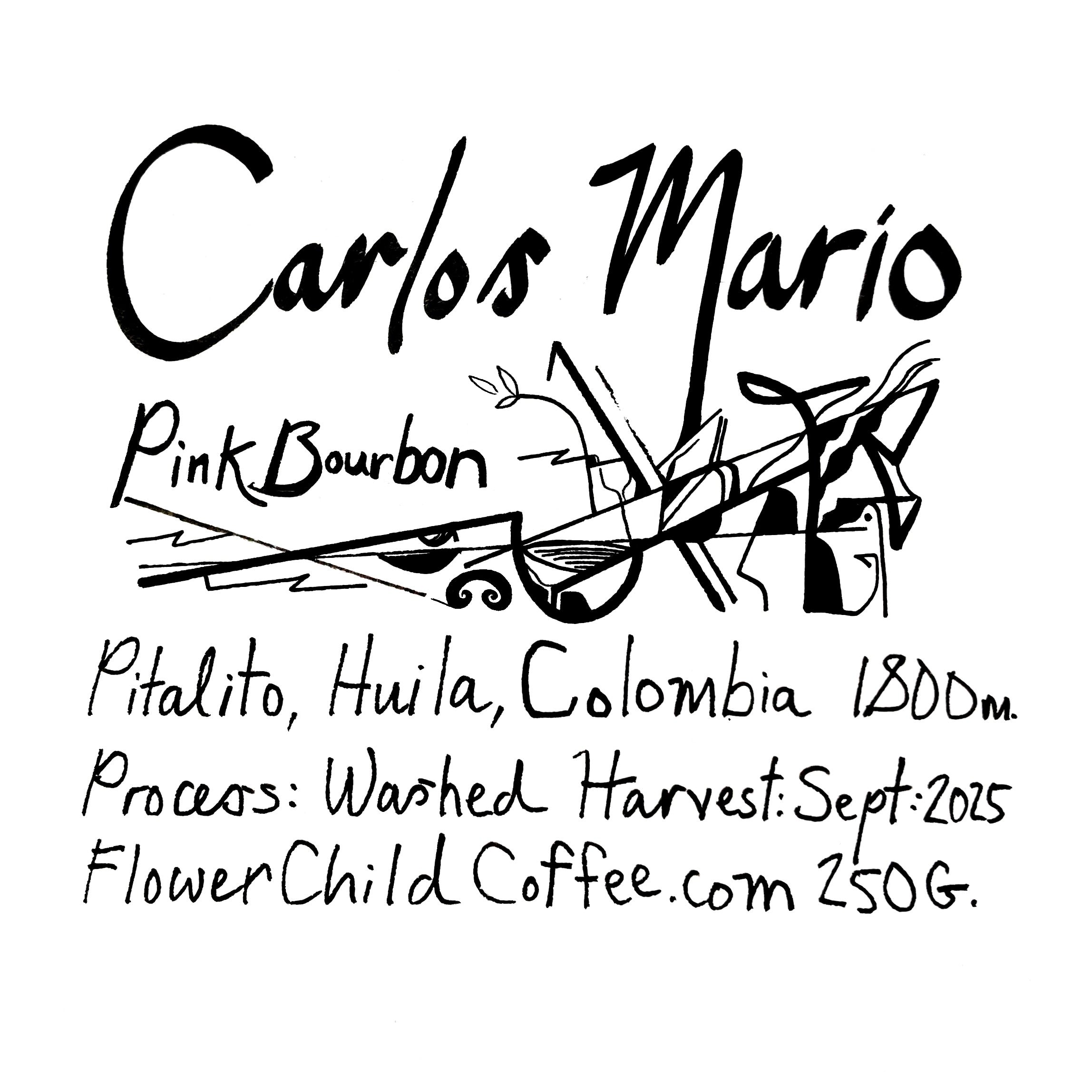 Photo of Carlos Marlo