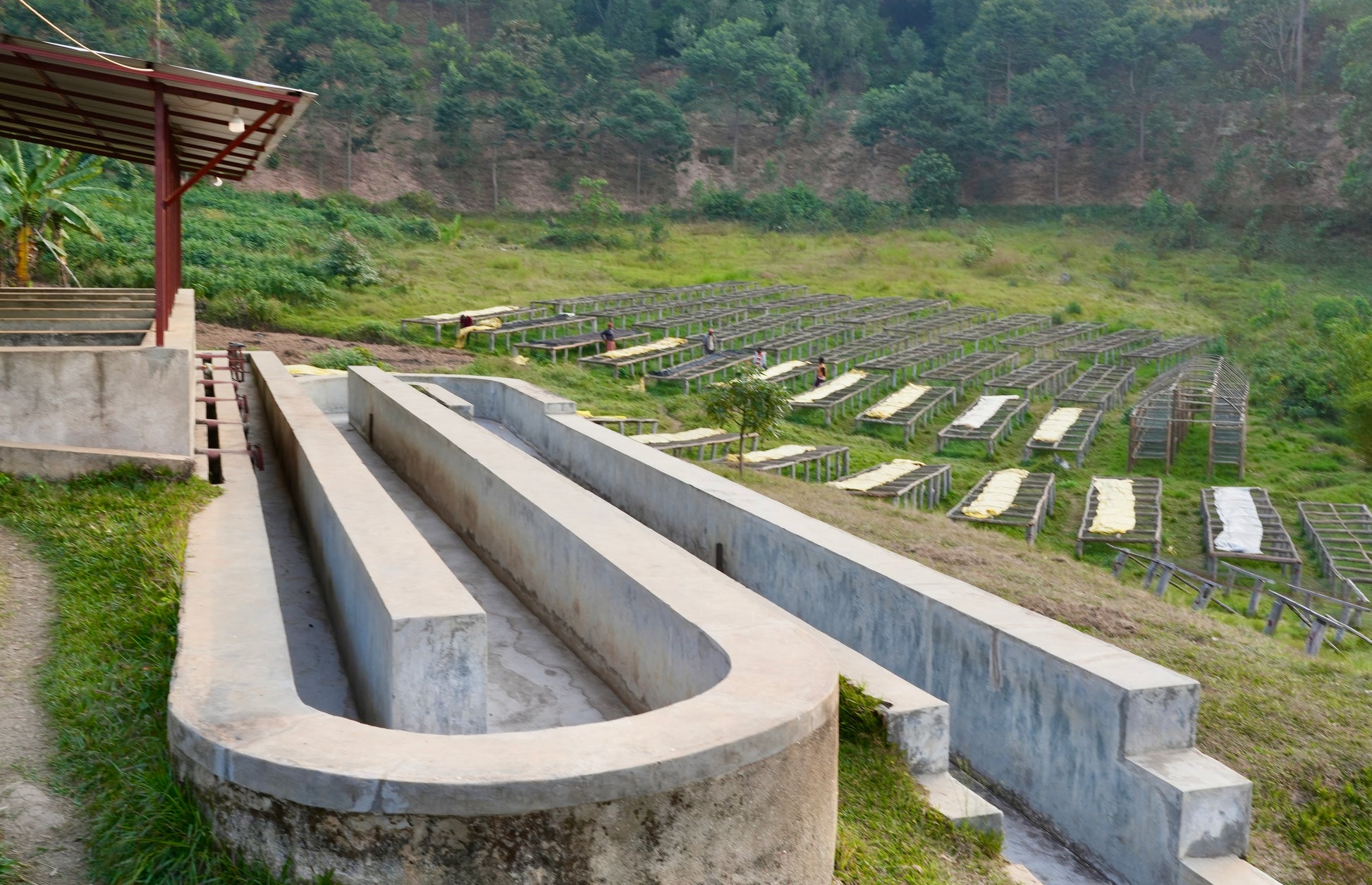 Concrete water trough in a rural setting with rows of raised beds in the background.