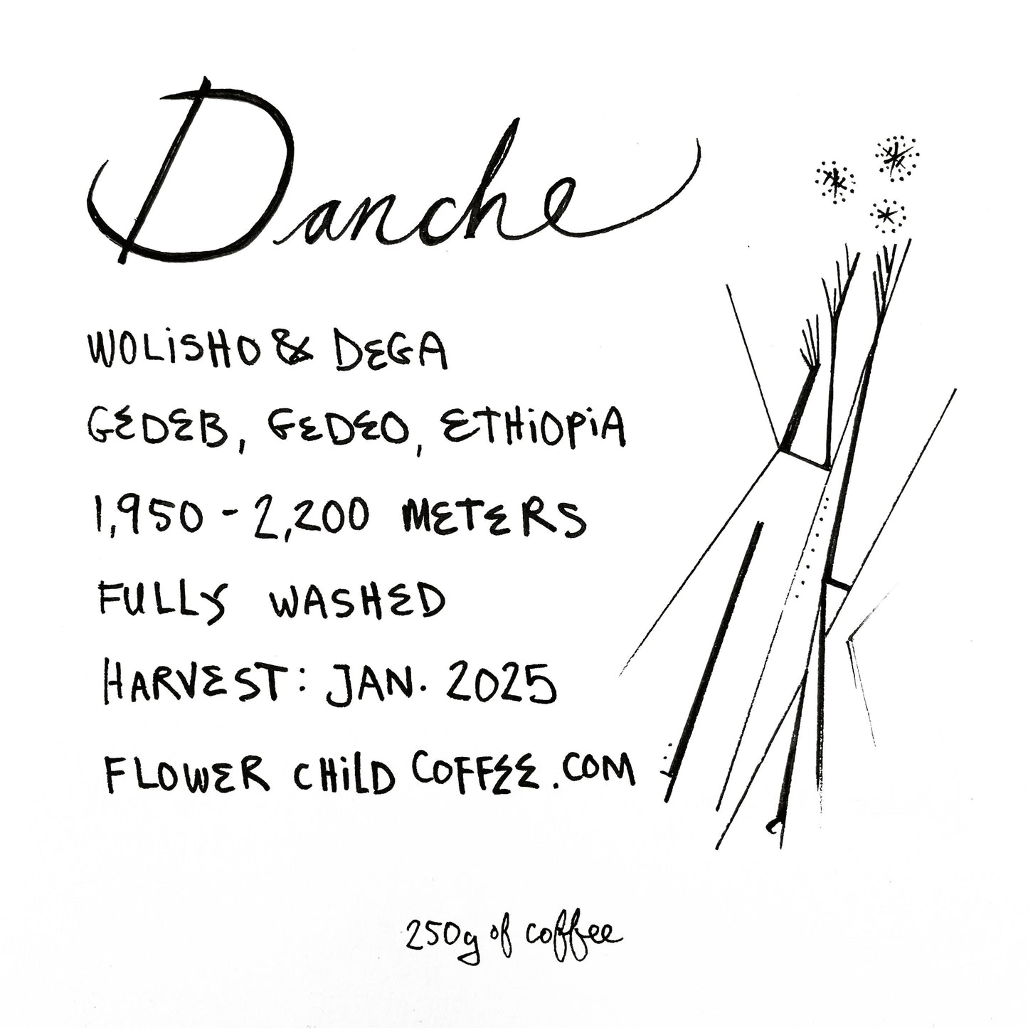 Danche
