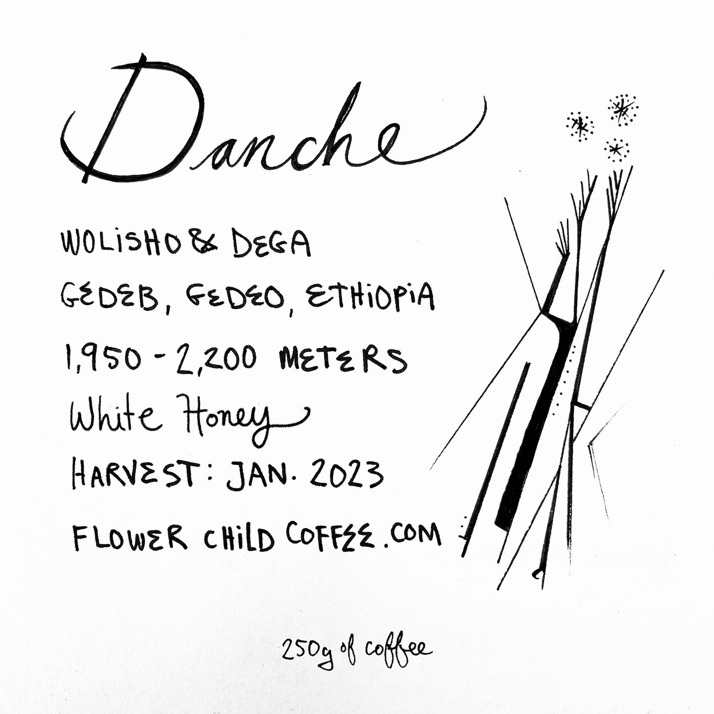 Danche White Honey