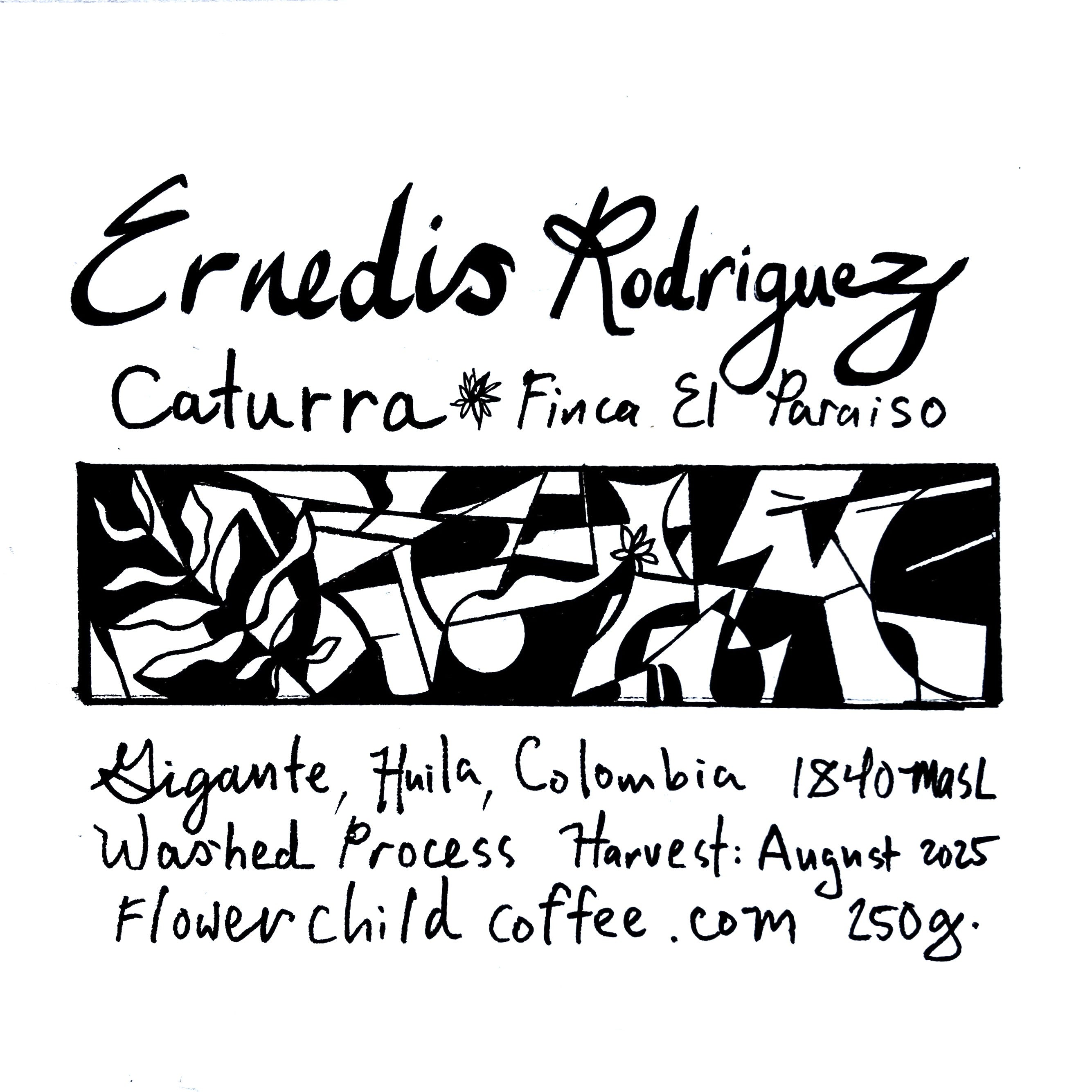 El Paraiso Caturra packshot