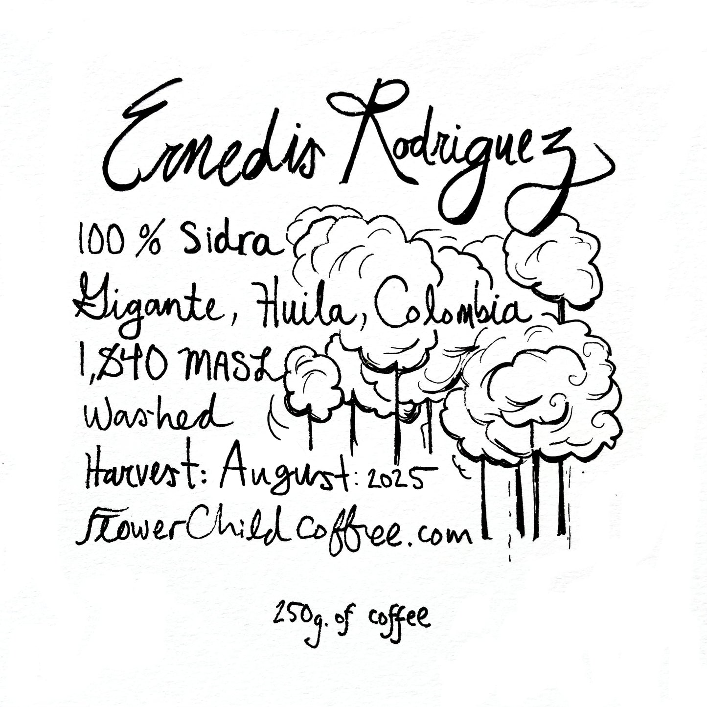 Ernedis Rodriguez - Sidra