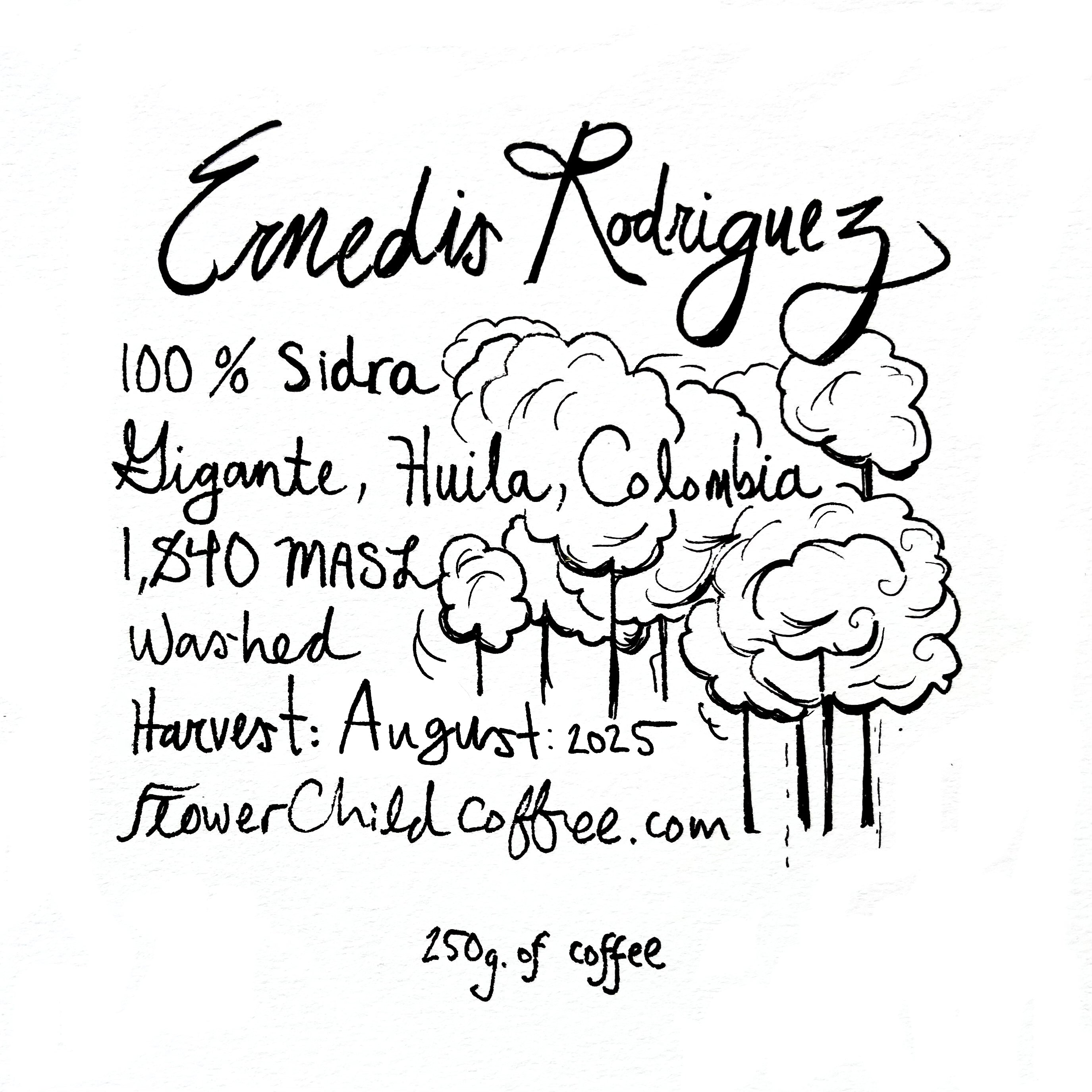 Photo of Ernedis Rodriguez - Sidra