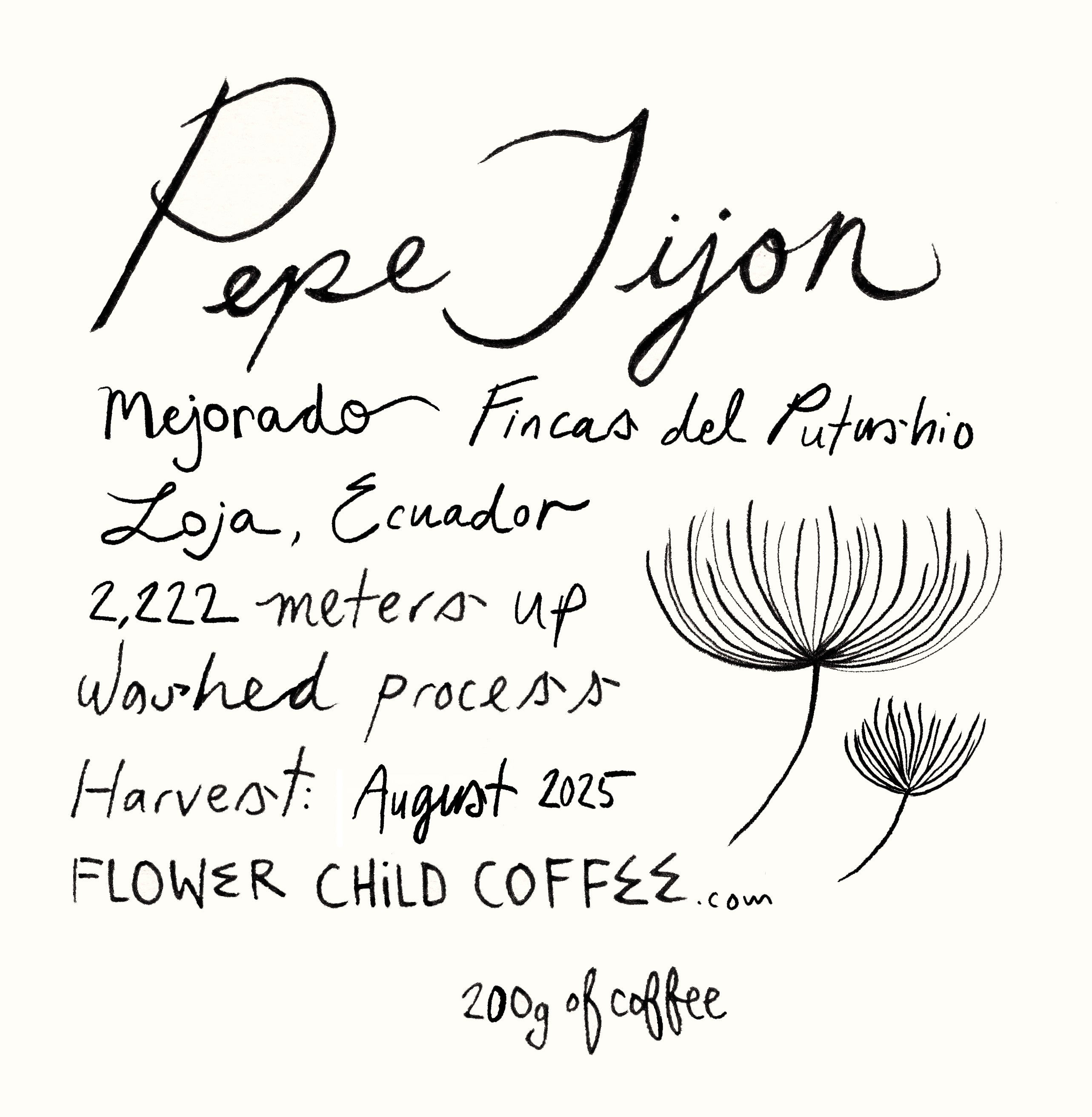 Photo of Pepe Jijon Mejorado