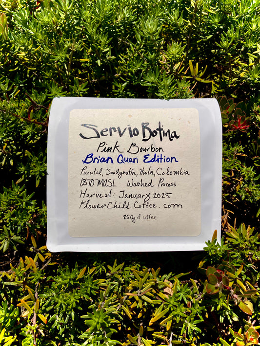 Servio Botina - Brian Quan Collaboration