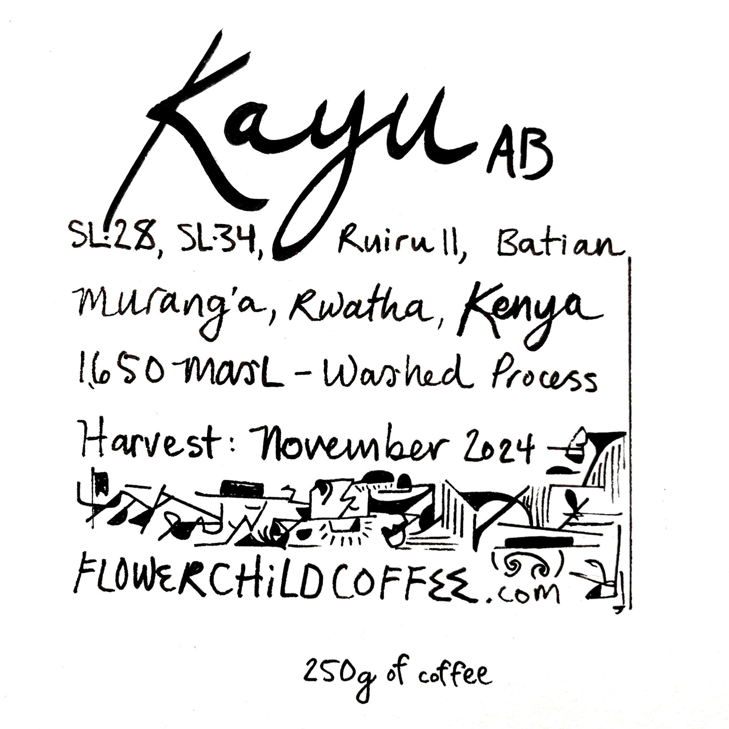 Photo of Kayu