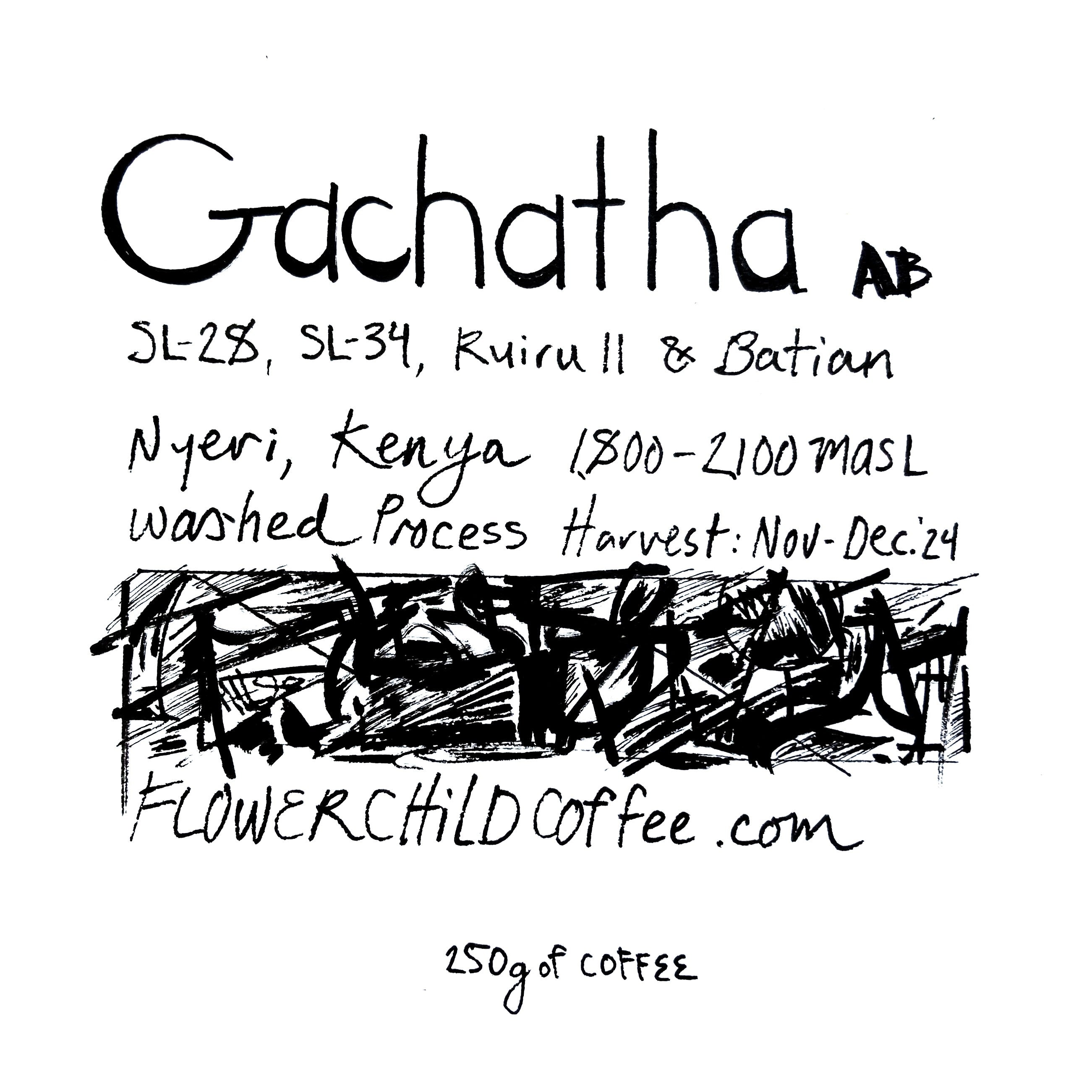 Photo of Gachatha