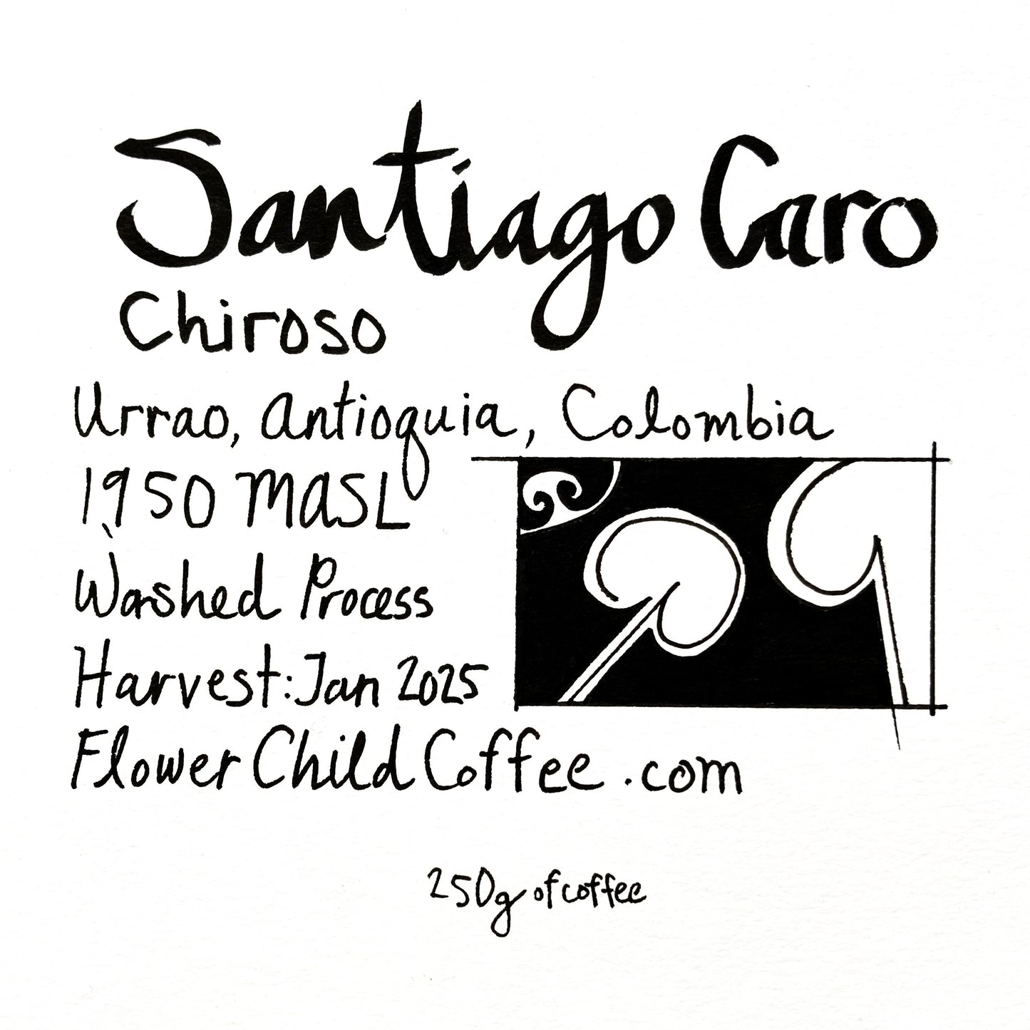 Santiago Caro - Chiroso