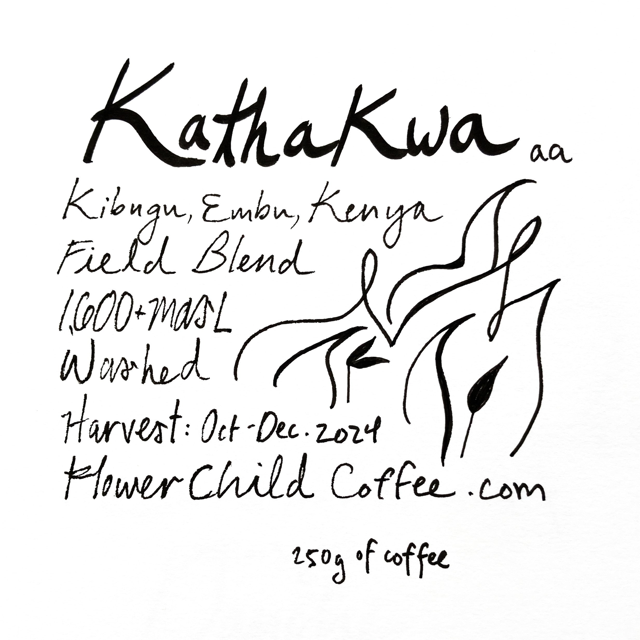 Photo of Kathakwa