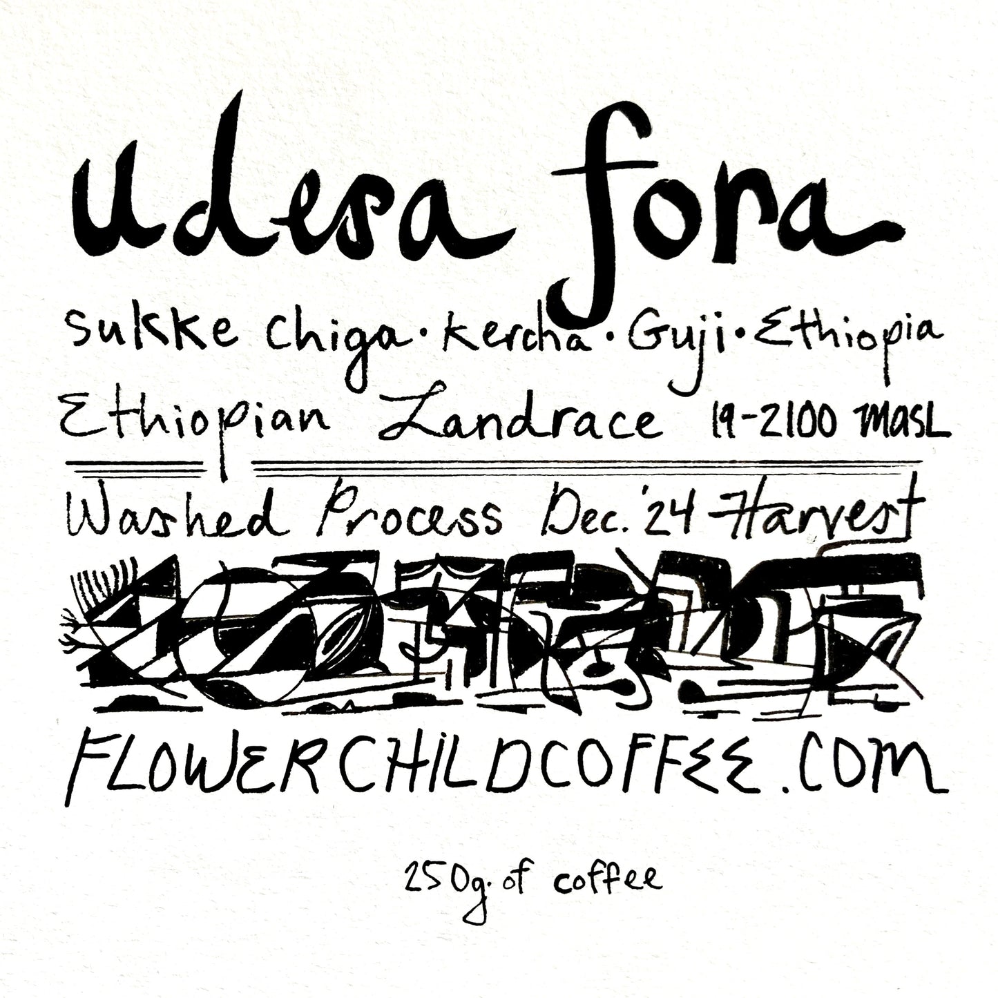 Udesa Fora