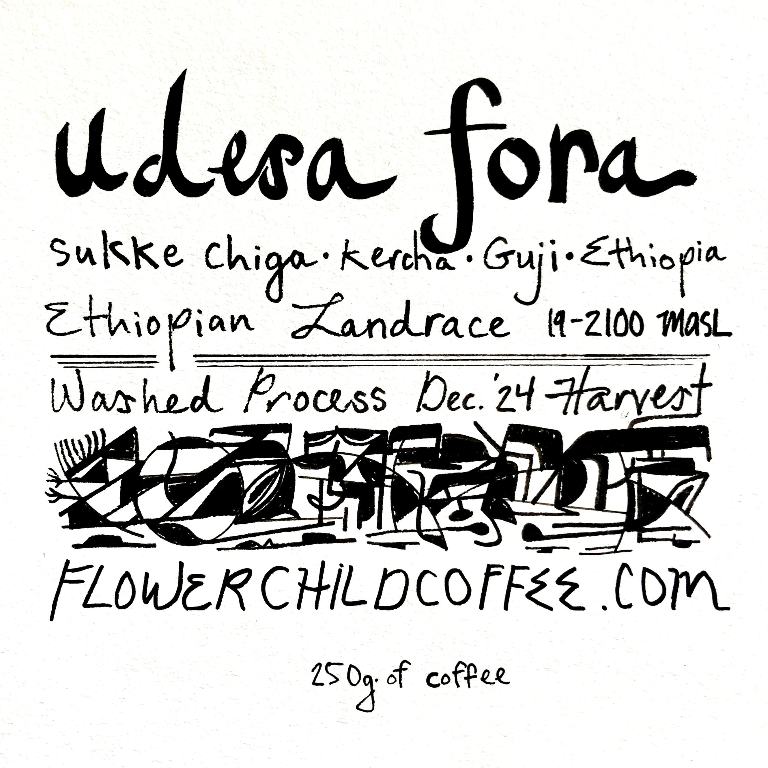 Photo of Udesa Fora