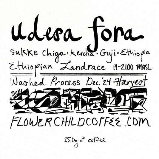 Udesa Fora