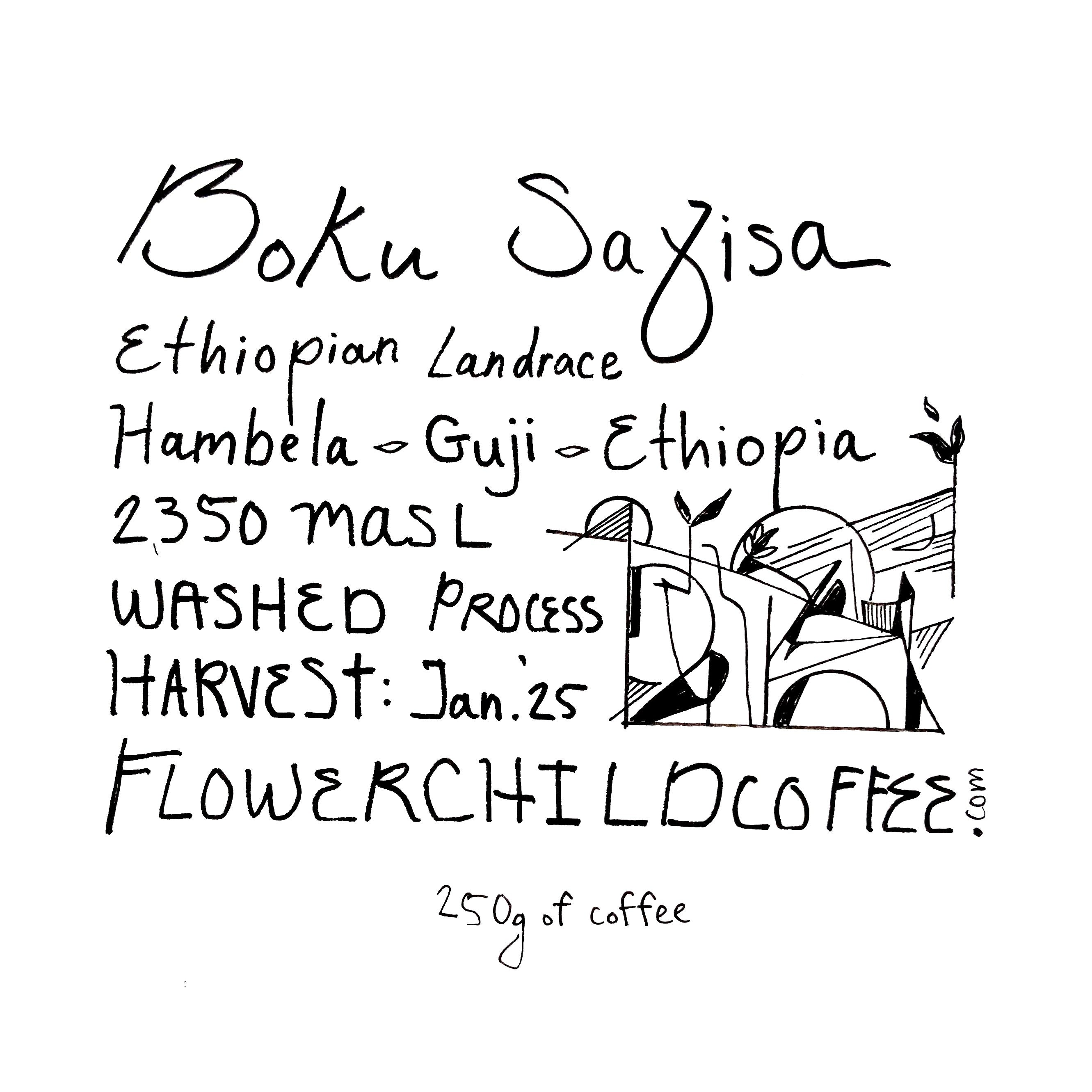 Photo of Boku Sayisa