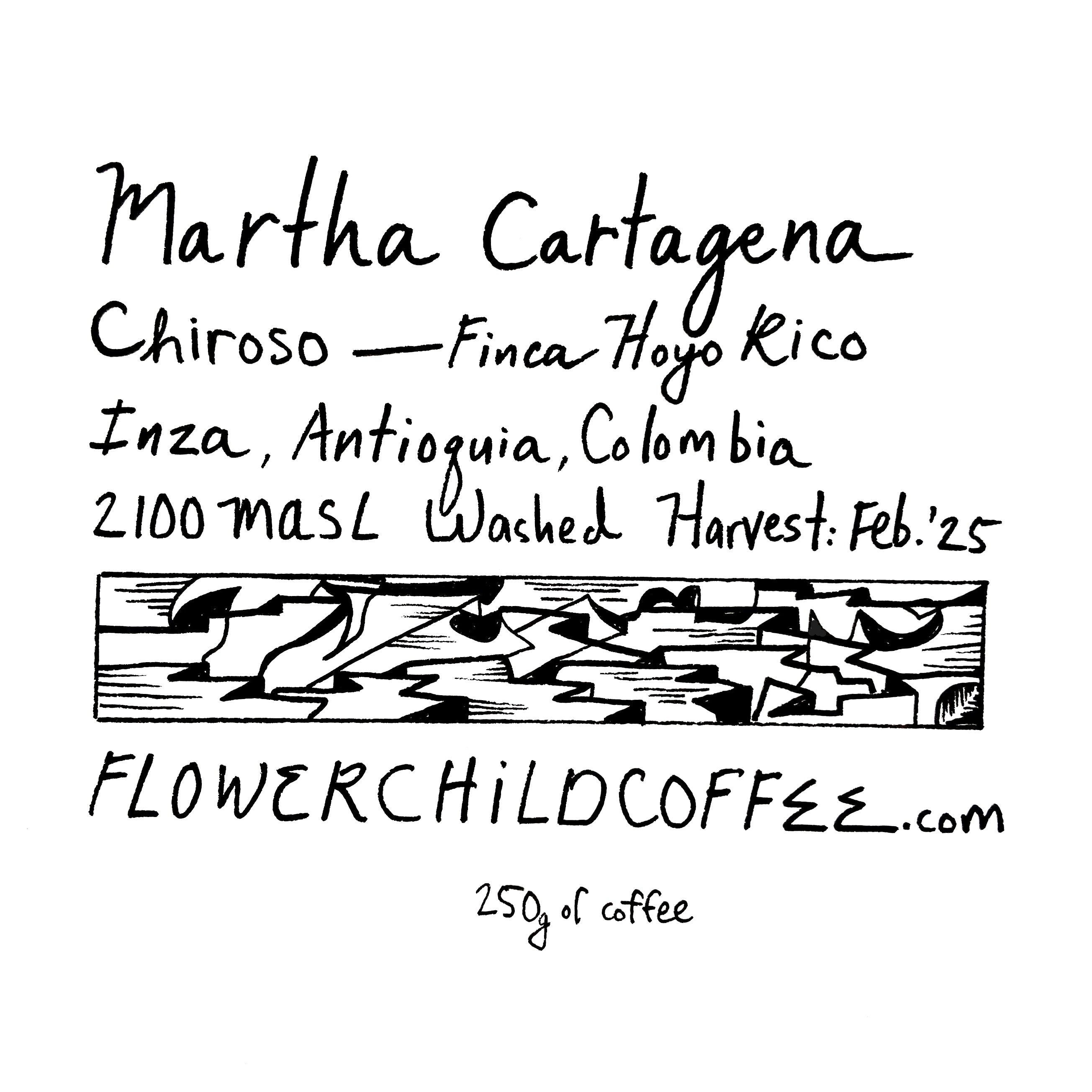 Martha Cartagena packshot