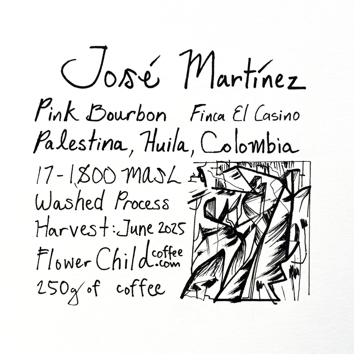 Photo of José Martínez