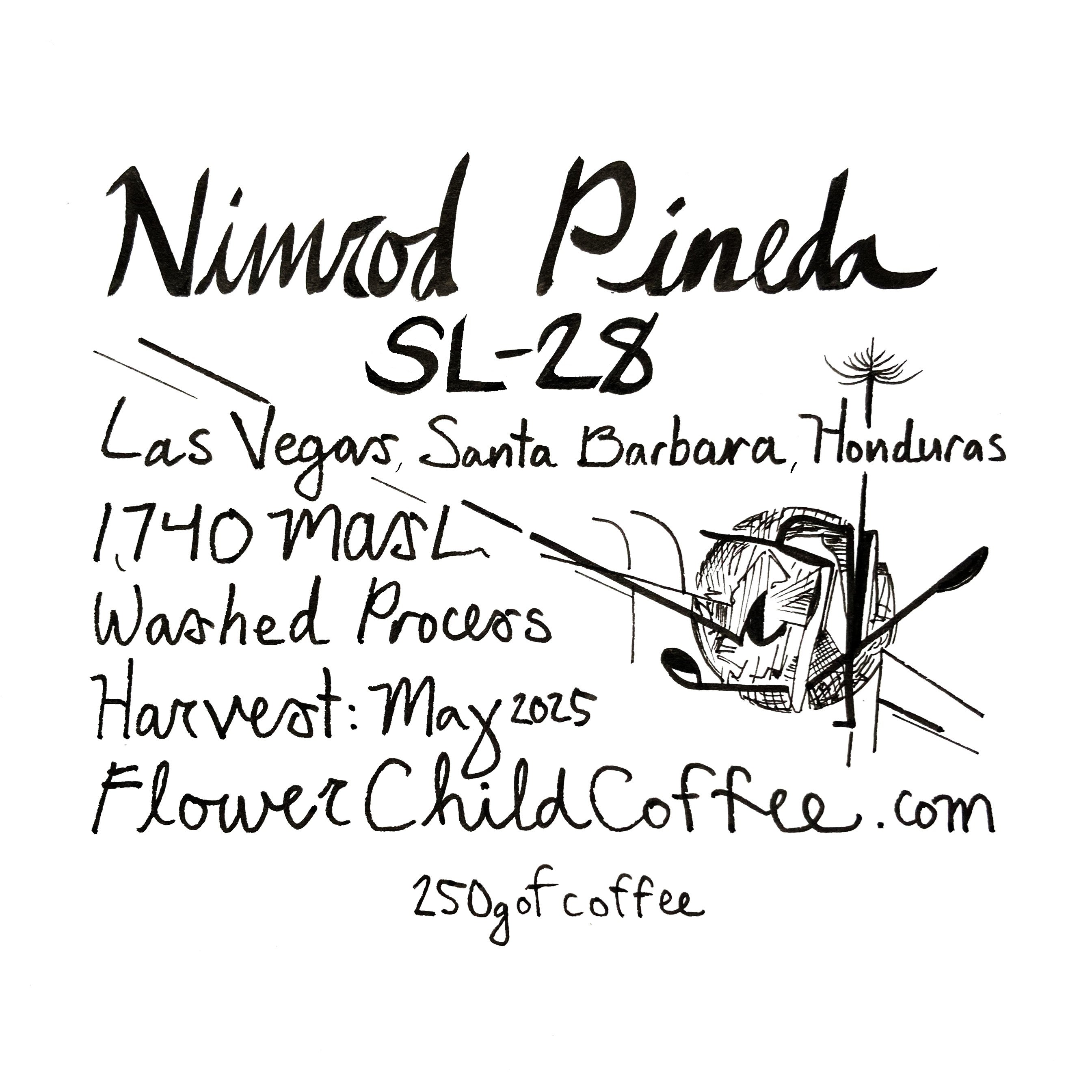 Photo of Nimrod Pineda