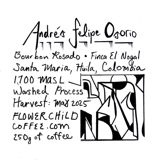 Andrés Felipe Osorio