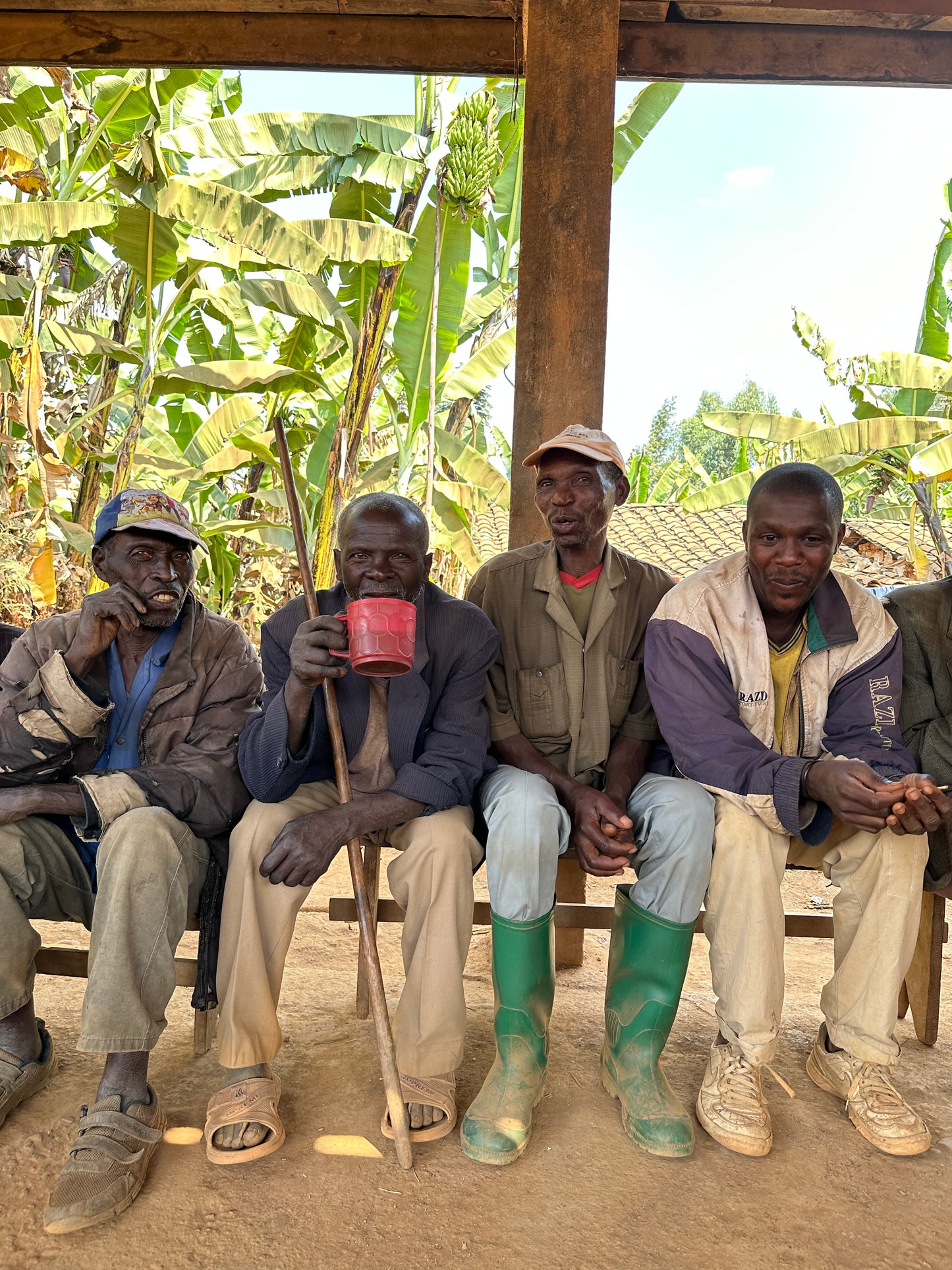 Four men sitting under a wooden shelter with trees in the background