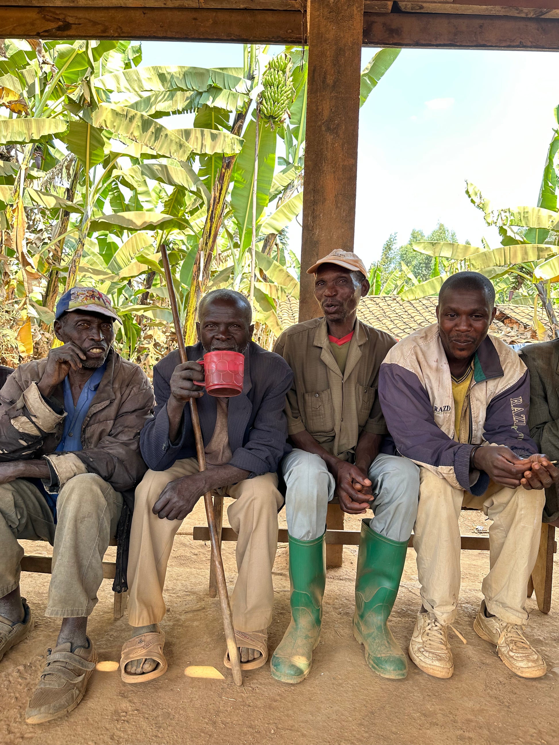 Four men sitting under a wooden shelter with trees in the background
