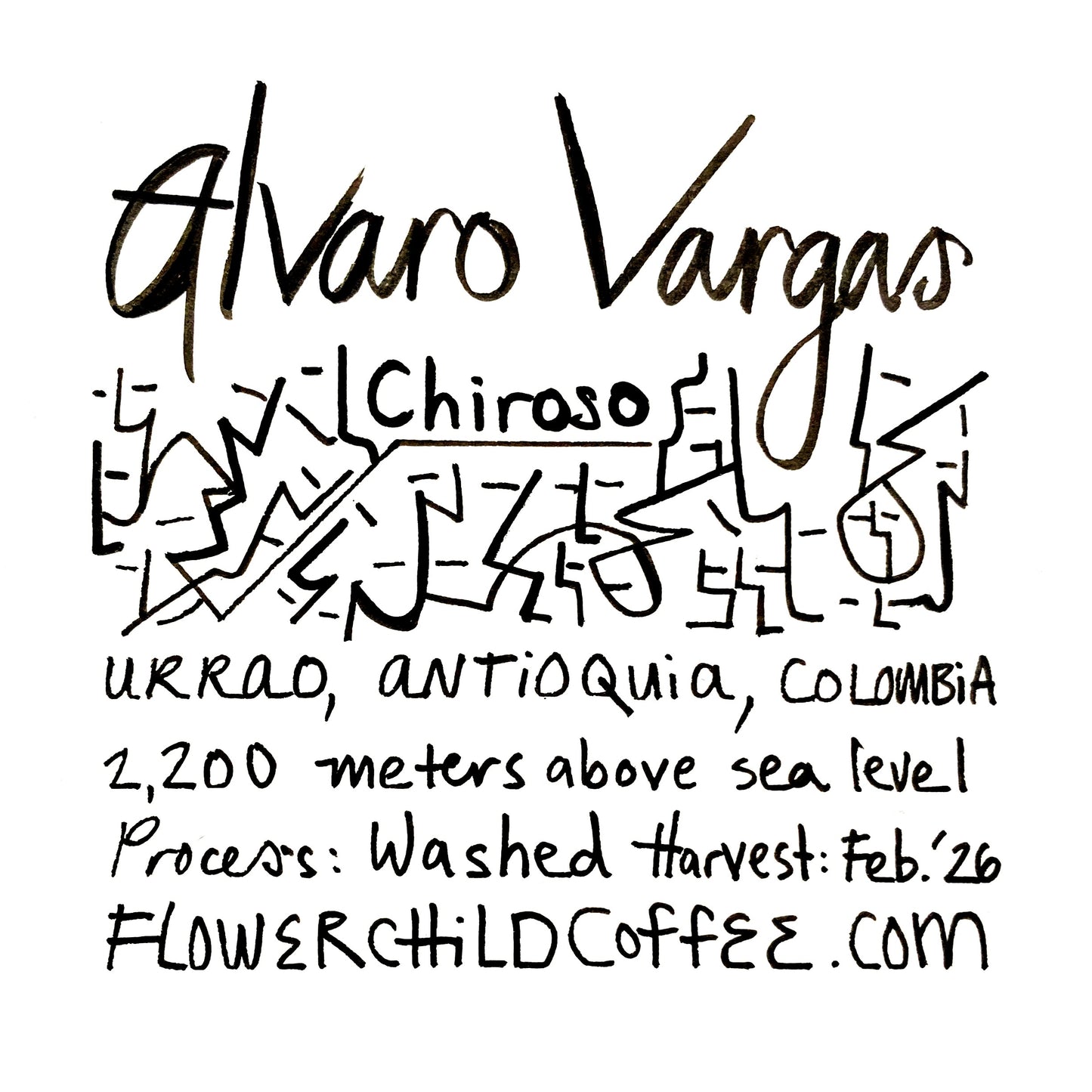 Alvaro Vargas - Chiroso