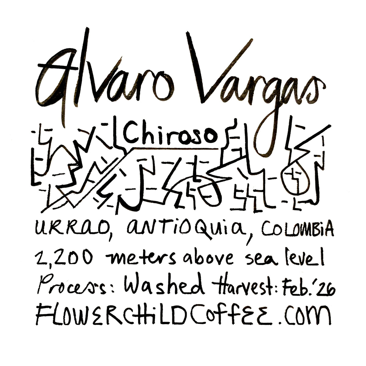 Photo of Alvaro Vargas - Chiroso