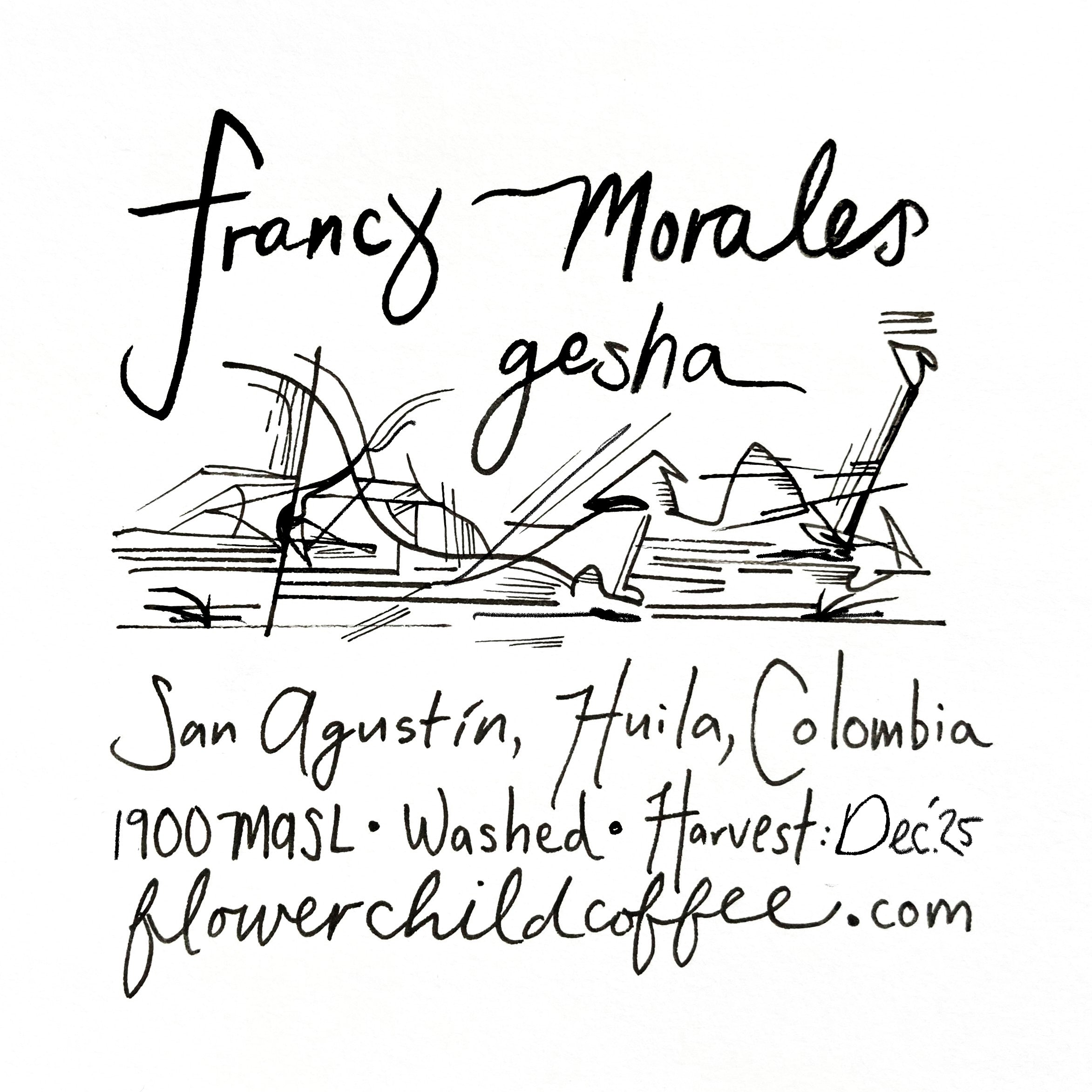 Photo of Francy Morales - Gesha