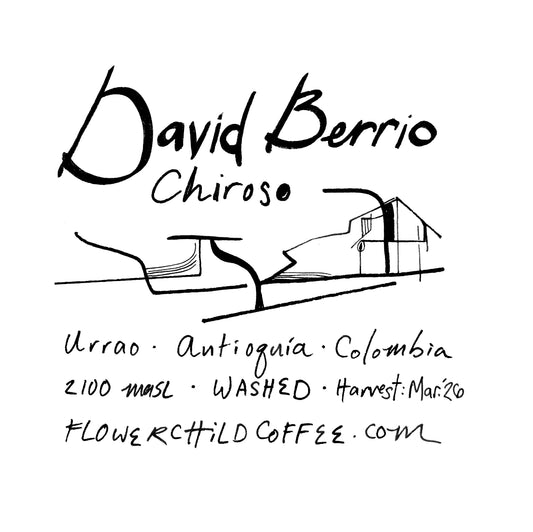 David Berrio