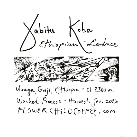 Yabitu Koba - Ethiopian Landrace