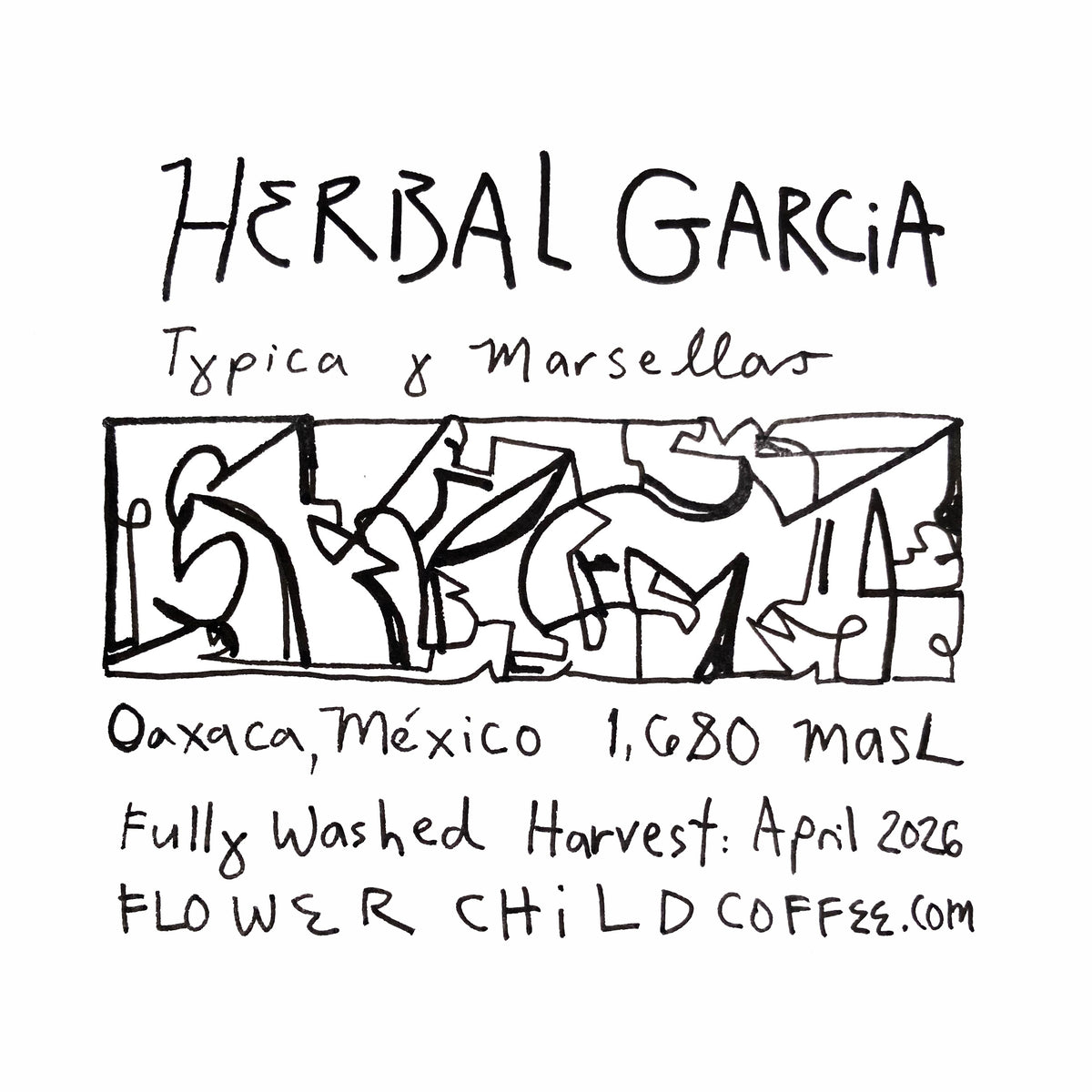 Herbal Garcia - Typica