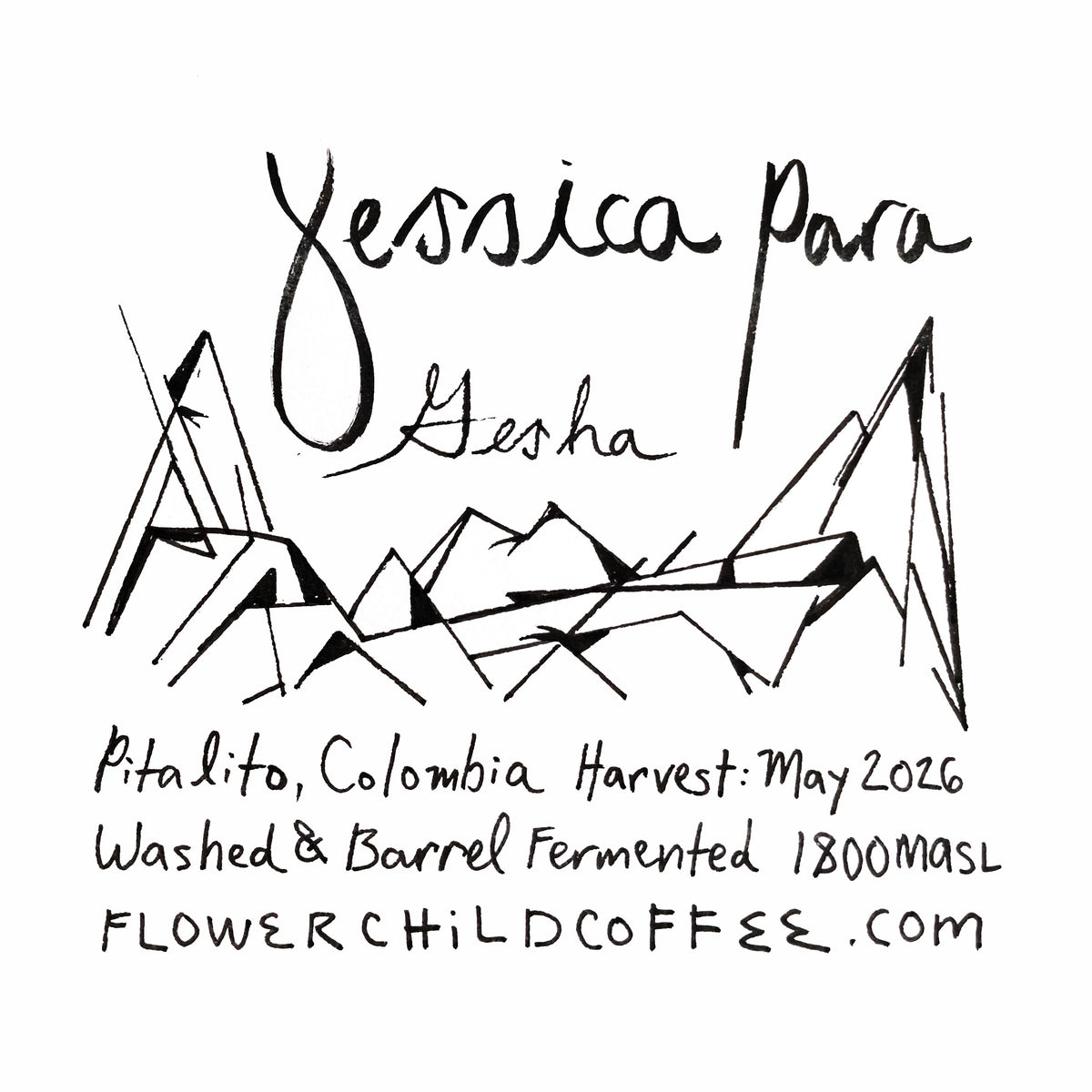 Yessica Para - Gesha