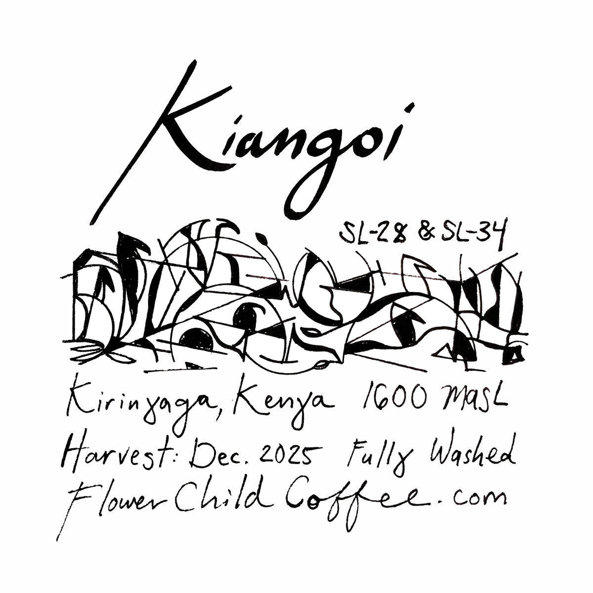 Kiangoi - SL-28 & SL-34