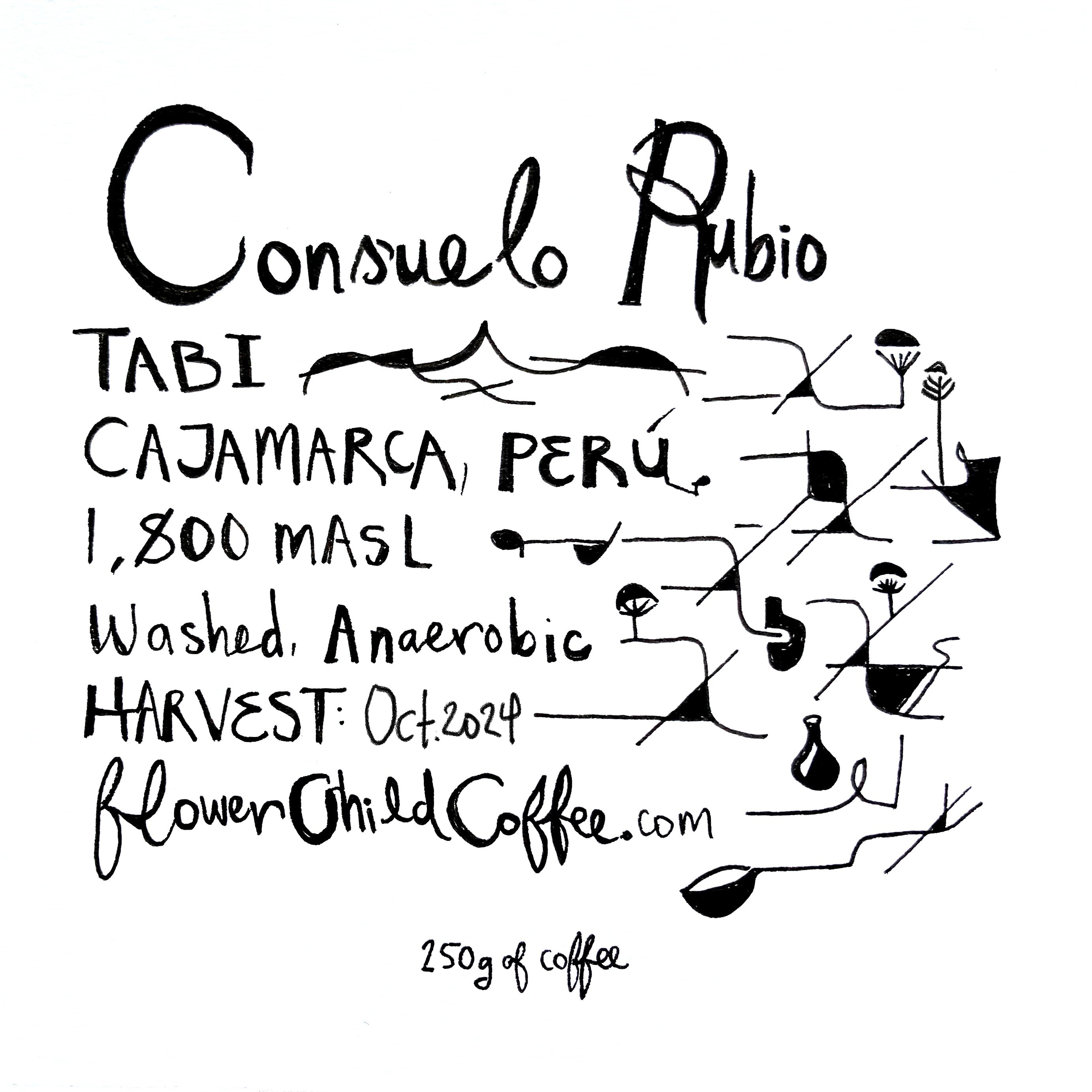 Photo of Consuel Rubio Tabi