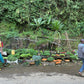 People with vegetables on a street with lush greenery in the background