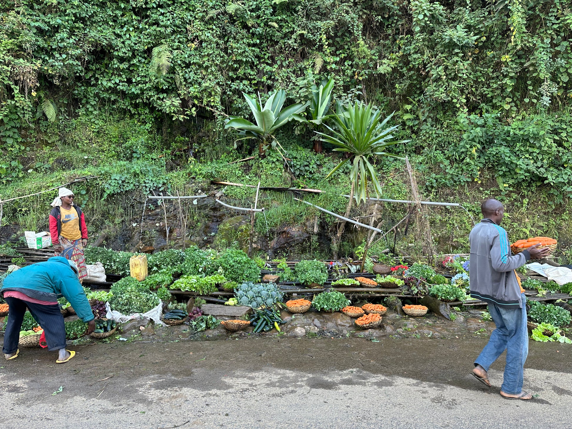 People with vegetables on a street with lush greenery in the background