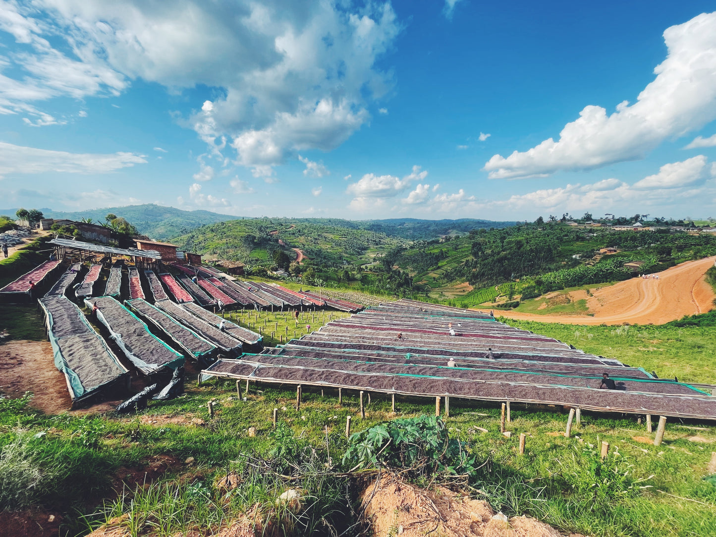 Outdoor drying racks for coffee against a scenic landscape with blue sky and clouds.