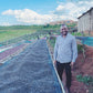 Man standing on a coffee drying rack with a scenic background