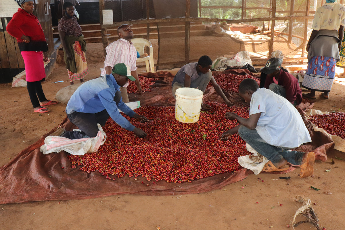 Kiamugumo