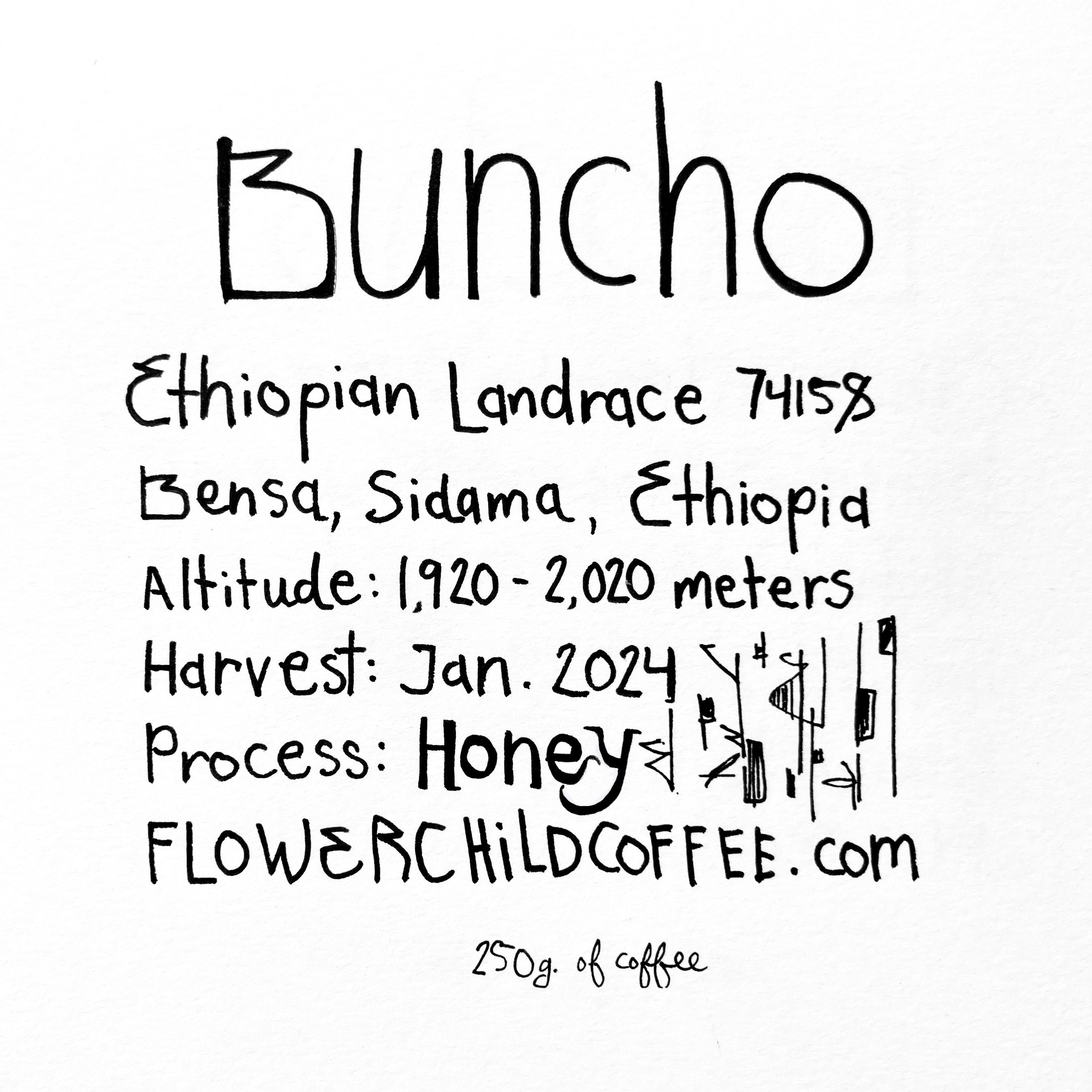 Photo of Buncho