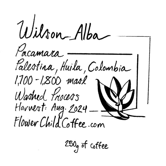 Wilson Alba