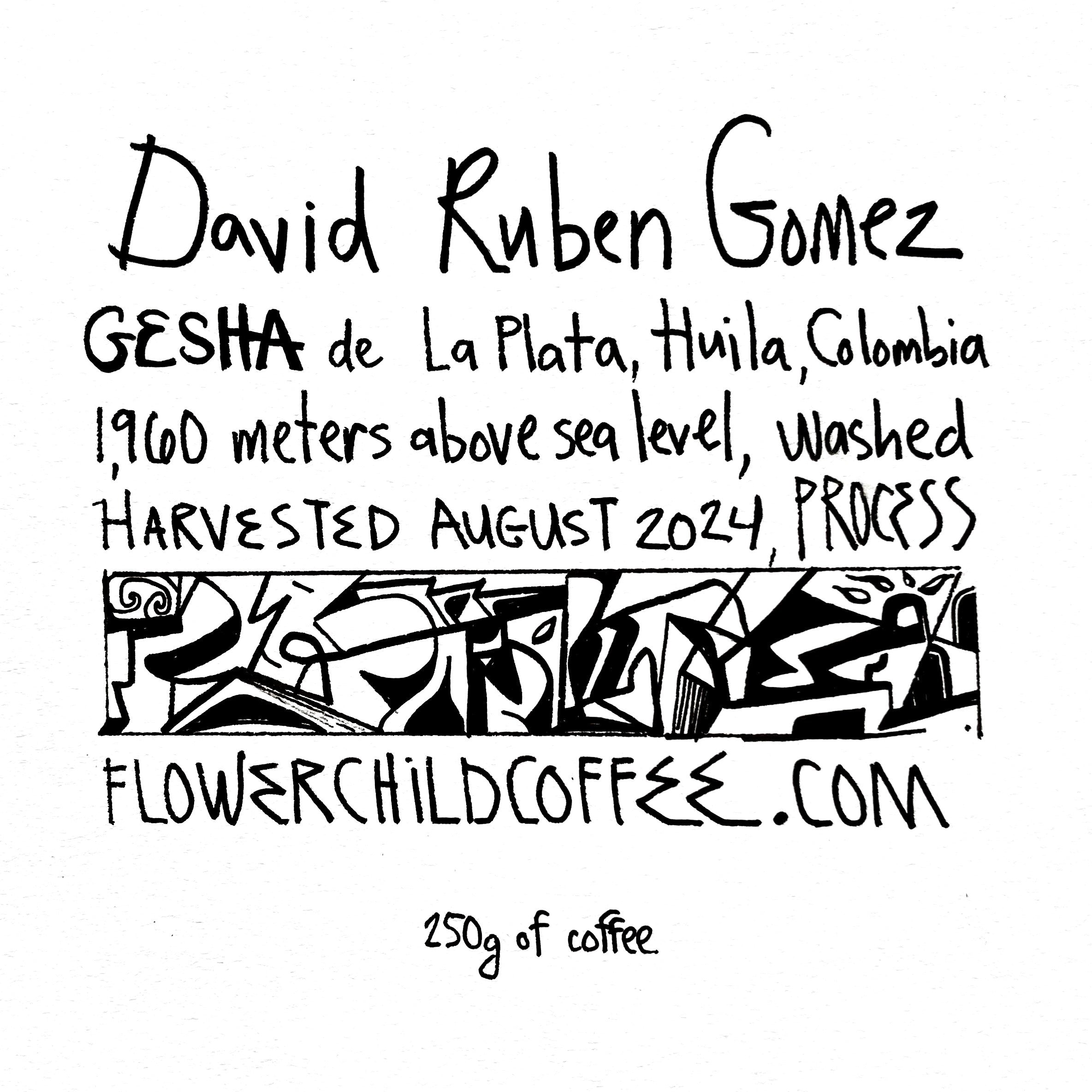 David Ruben Gomez packshot