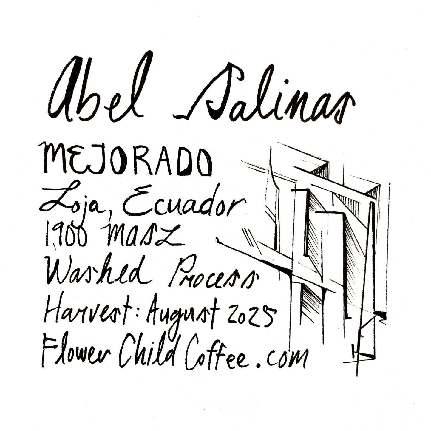 Abel Salinas - Mejorado