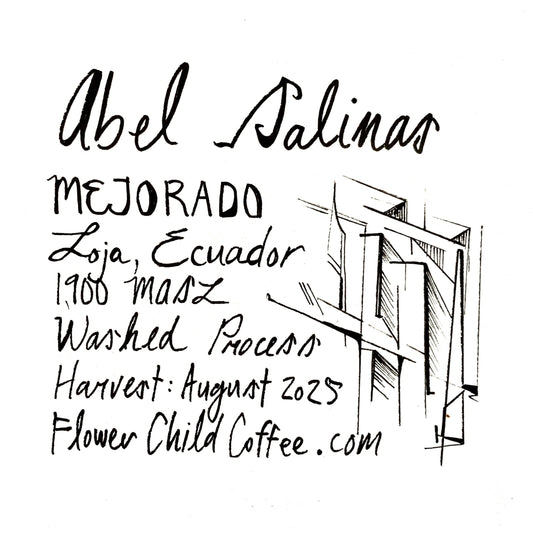 Abel Salinas - Mejorado