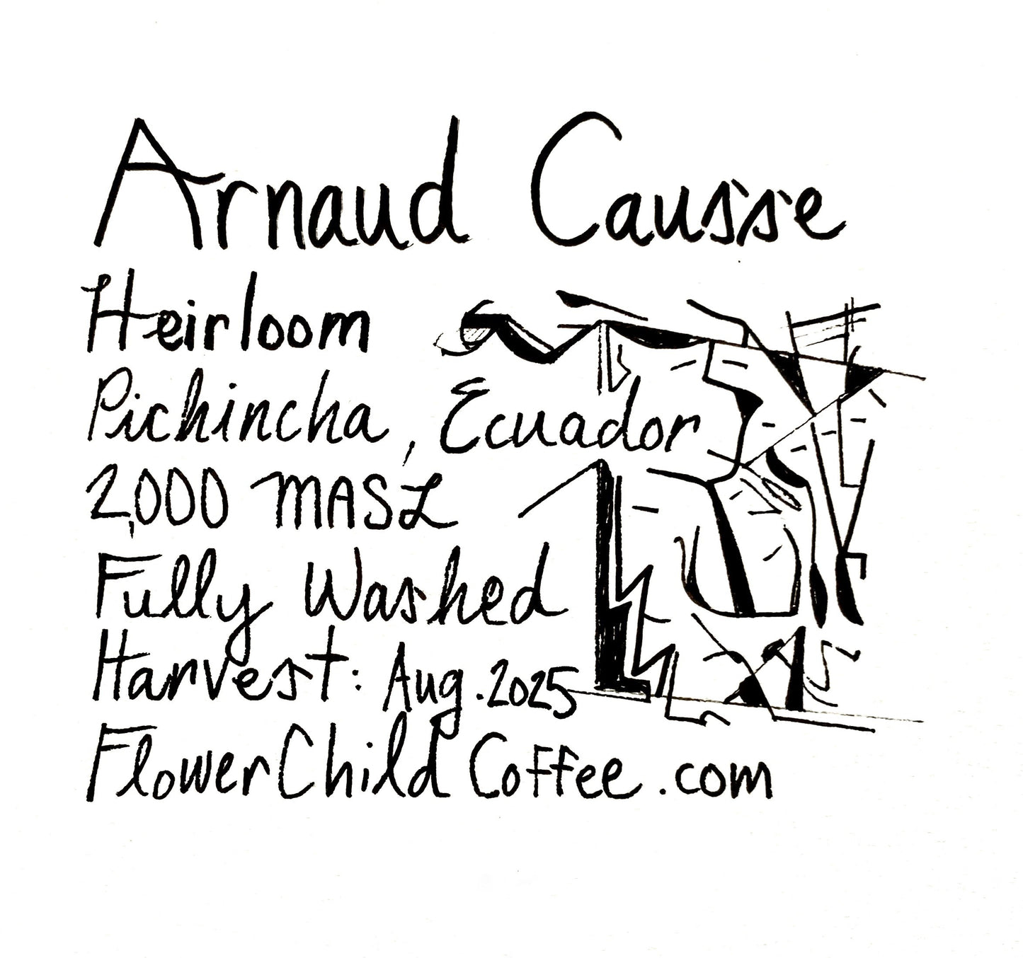 Arnaud Causse - Heirloom